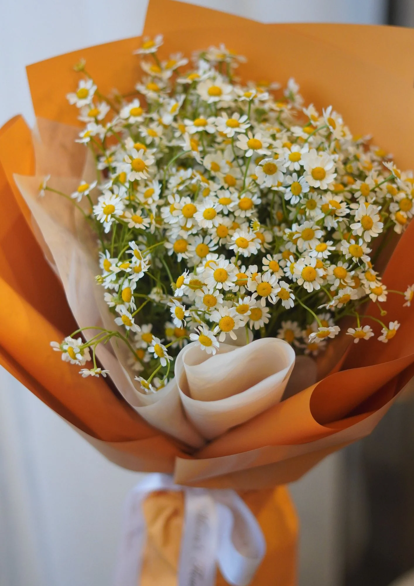 Chamomile Bouquet - Image 3