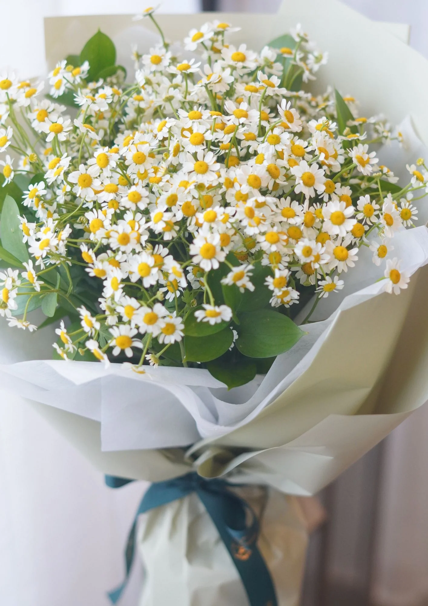 Chamomile Bouquet - Image 4