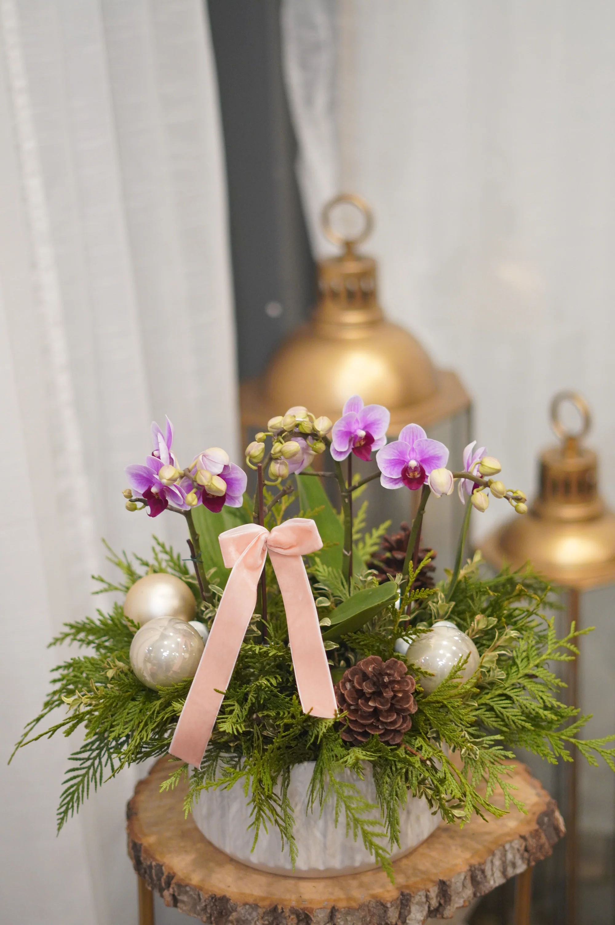 Holiday Orchids - Image 3