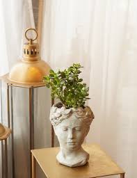 Jade plant in statue vase - Image 2