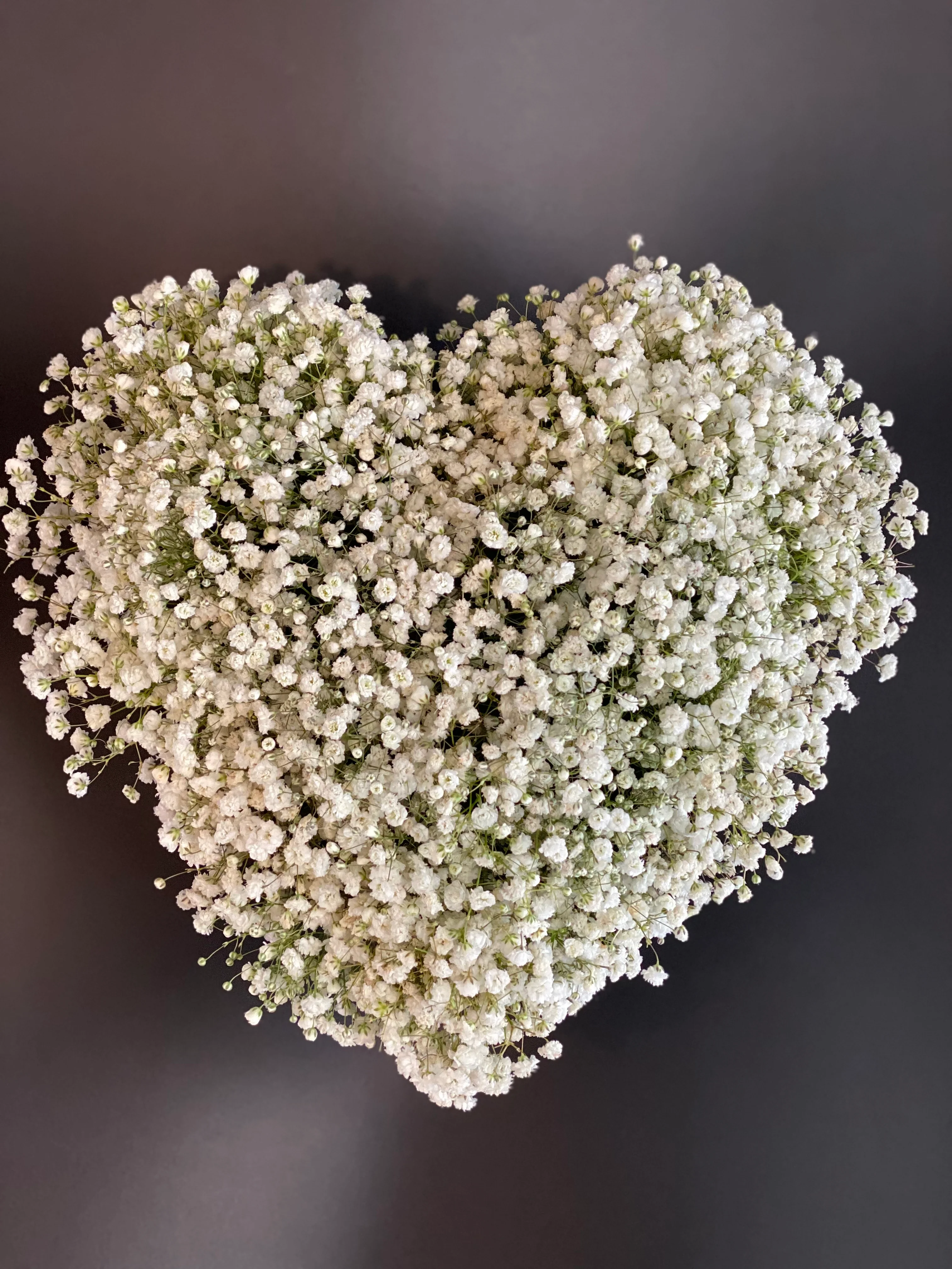 MOTHER'S DAY - Heart Baby’s Breath Velvet Box - Image 6