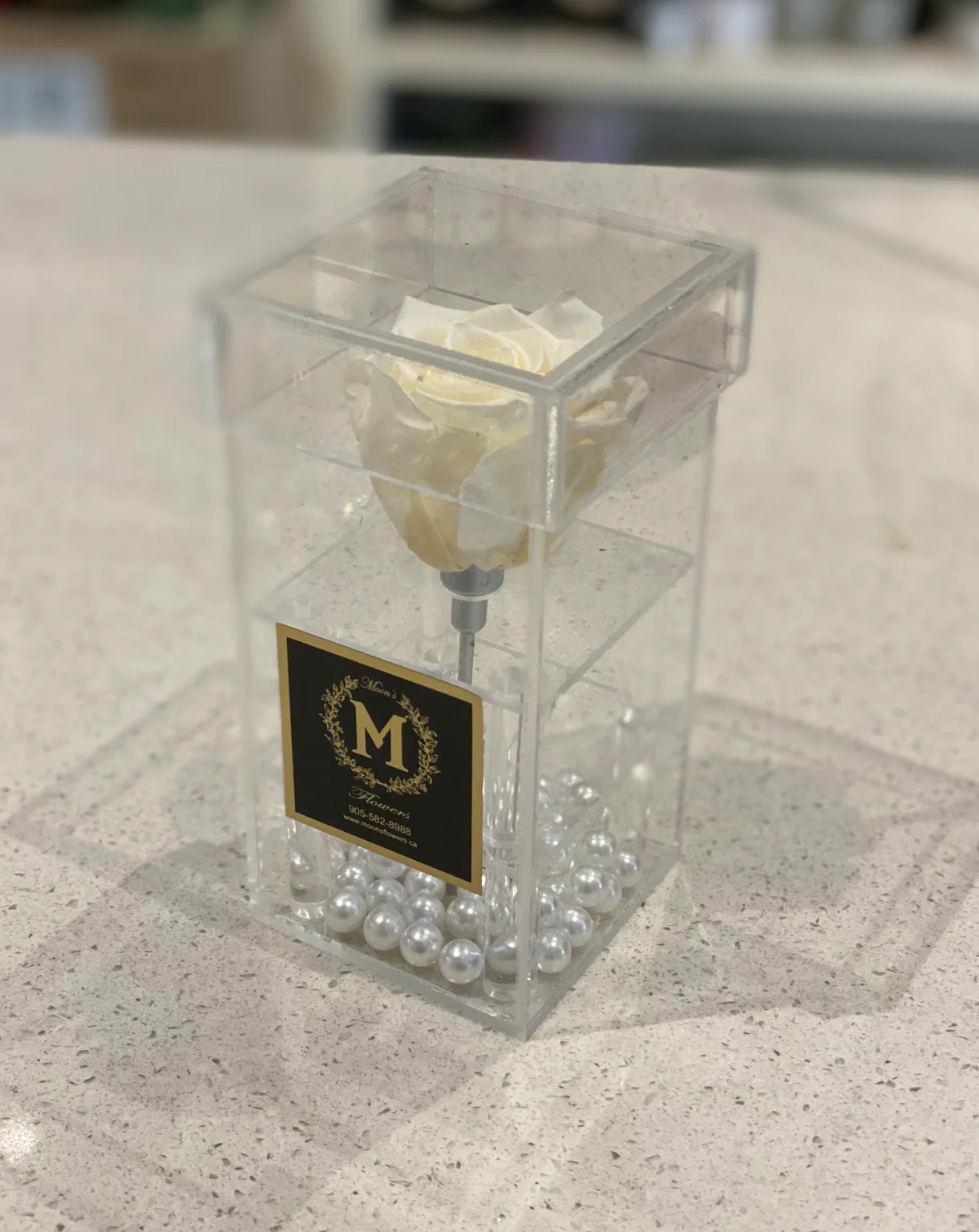 Mother's Day - Single Preserved Rose Acrylic Box - Image 3
