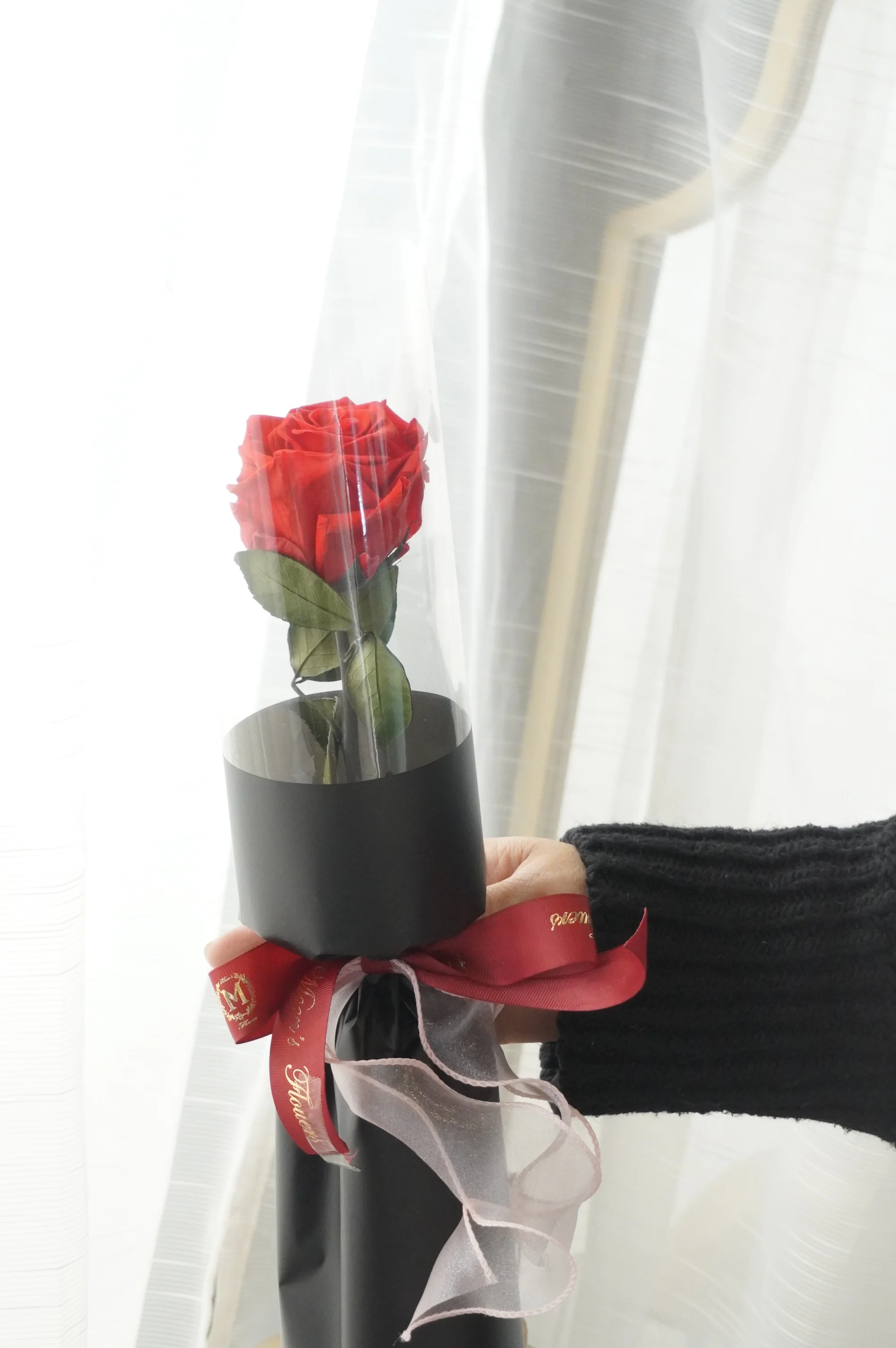Simple Red Preserved Rose