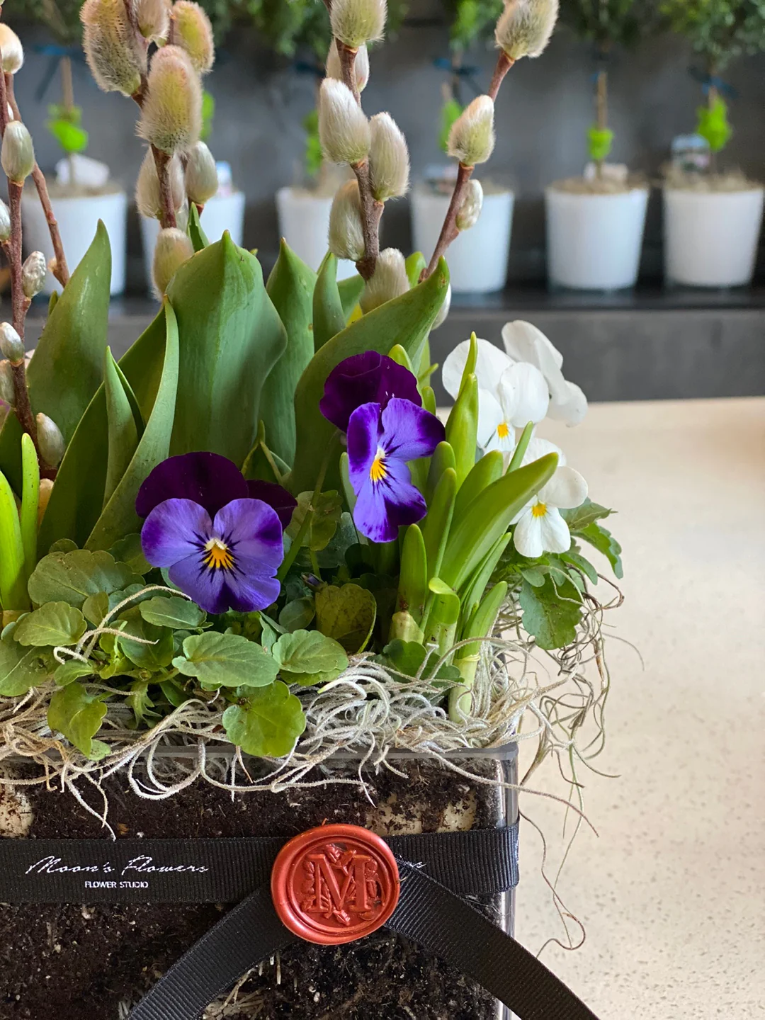 Spring Bulbs In a Glass Vase - Image 2