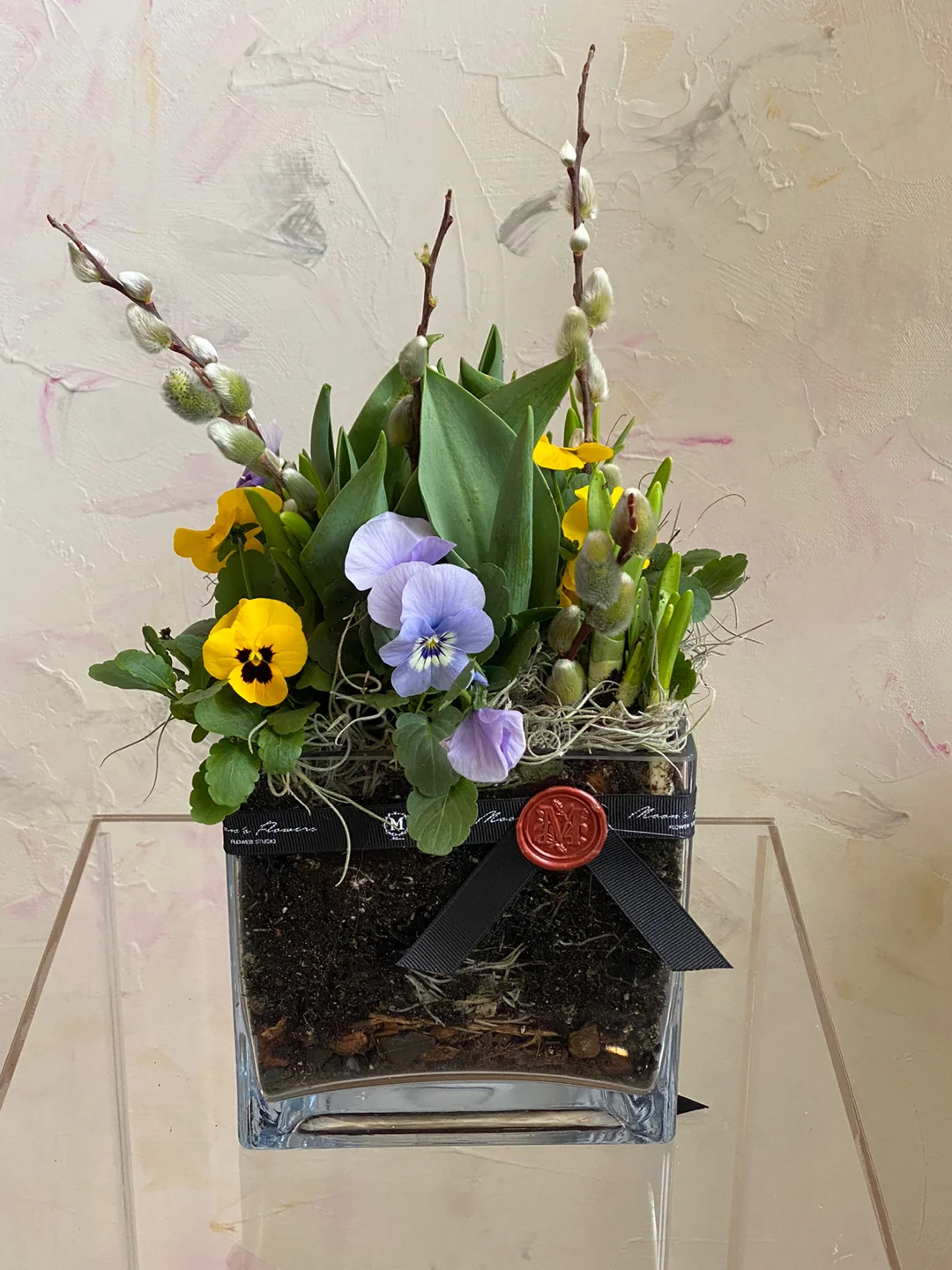 Spring Bulbs In a Glass Vase - Image 3