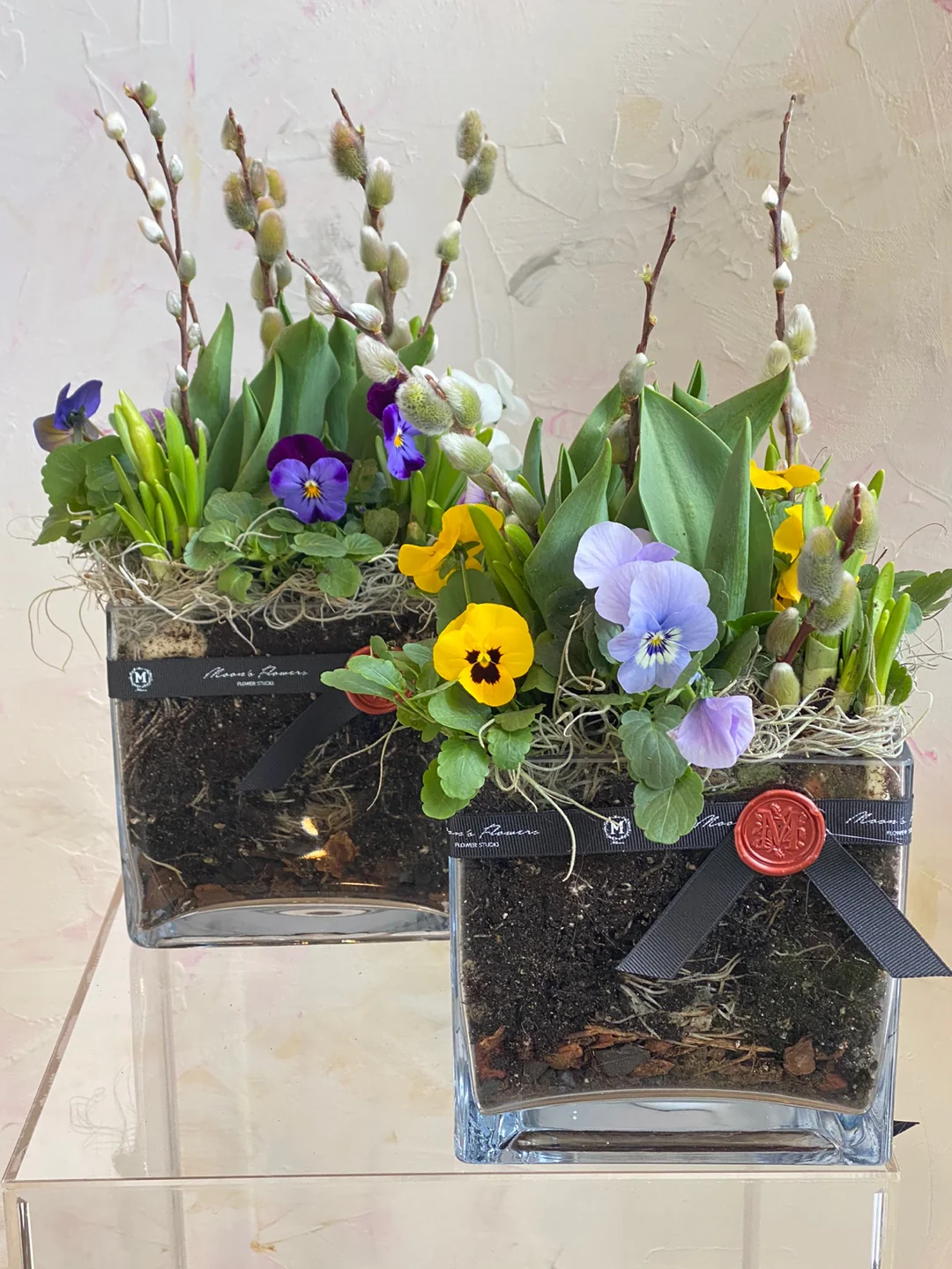 Spring Bulbs In a Glass Vase - Image 4